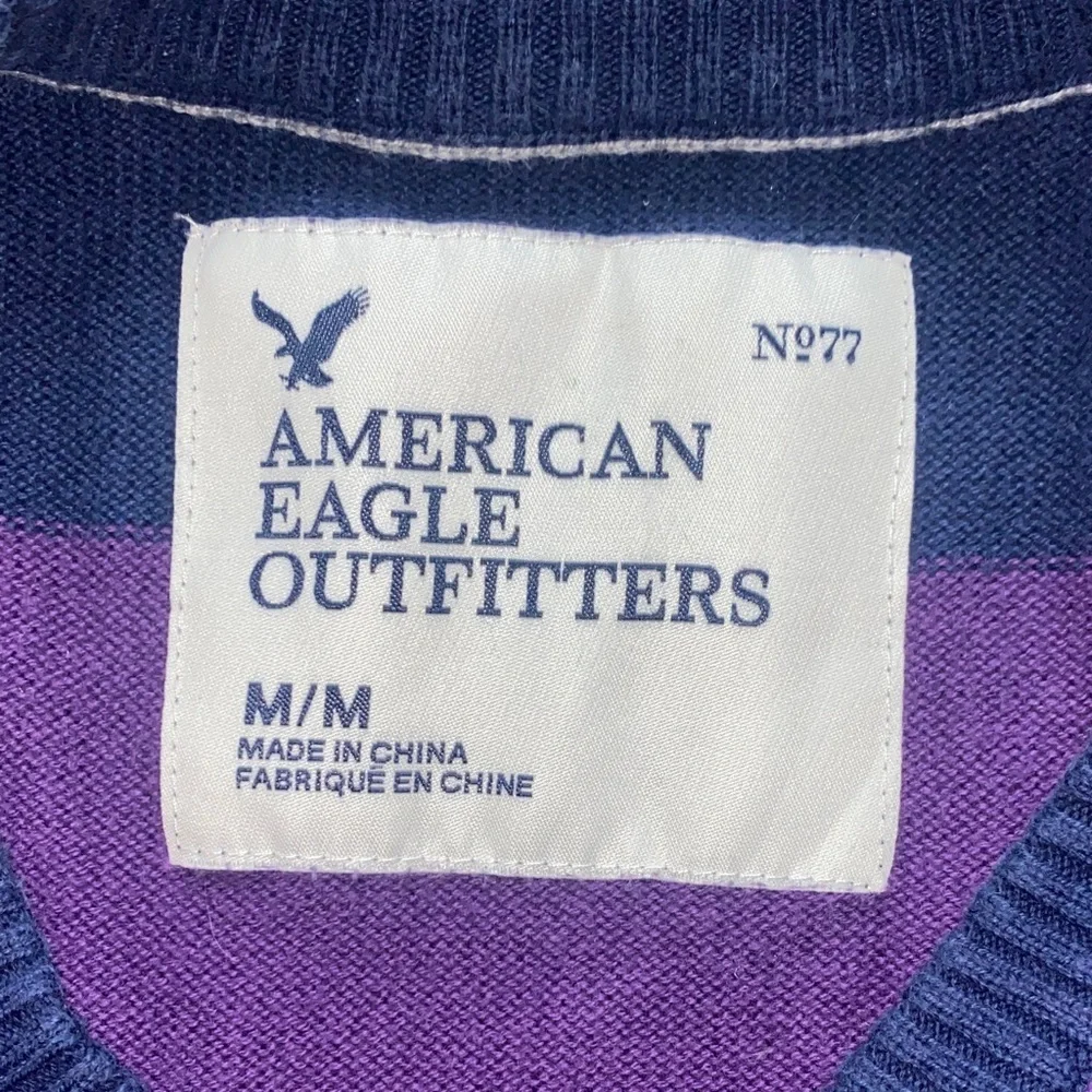 American Eagle Outfitters Men's V-Neck Sweater in Purple and Black